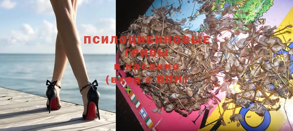 прущая мука Осинники