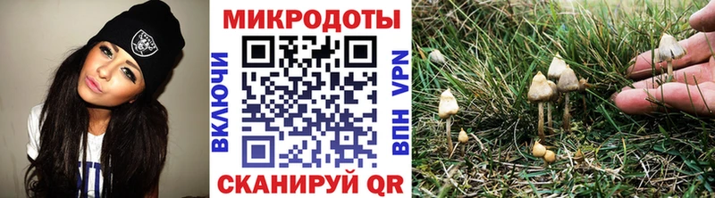 Галлюциногенные грибы Cubensis Скопин